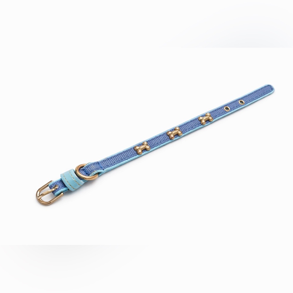 XS Stylish Blue Dog Collar with Bone Accents